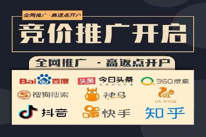 百度竞价广告成功案例：如何实现ROI最大化